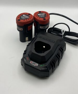 Set di 2 batterie 12 V + Caricabatterie PARKSIDE