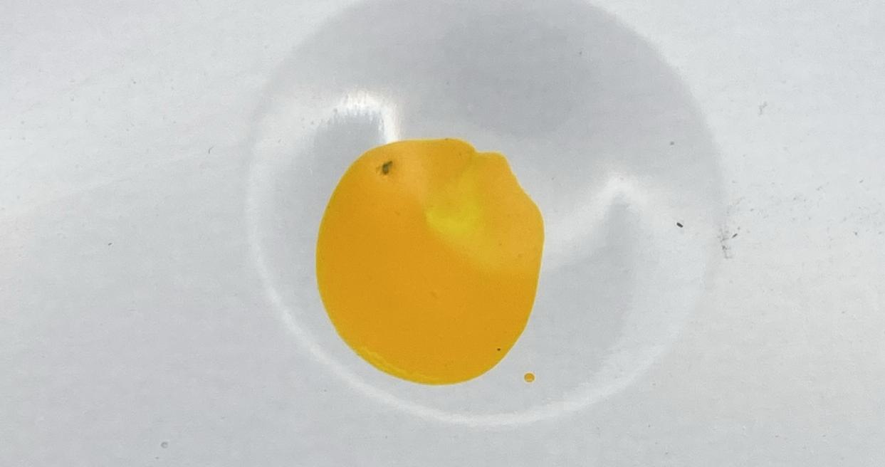 Smalto sintetico lucido per esterni e interni EUROLAC - immagine 7