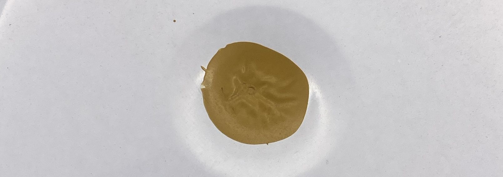 Smalto sintetico lucido per esterni e interni EUROLAC - immagine 11